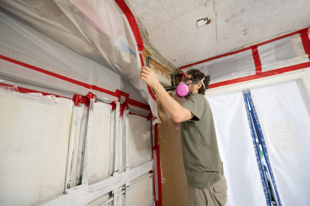 Best Residential Mold Inspection & Testing  in Oxford, PA