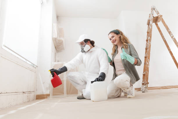 Reliable Oxford, PA Mold Inspection, Removal & Remediation Solutions