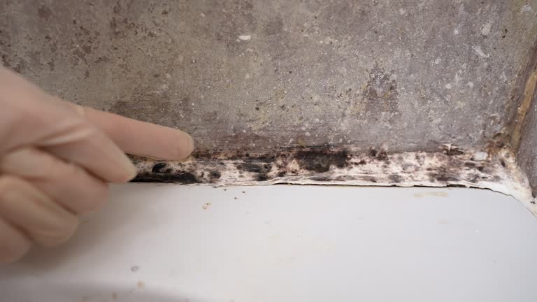 Best Mold Prevention Services  in Oxford, PA